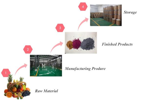 Fruit Flow Chart
