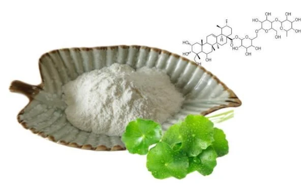 product-1-1 Gotu Kola Extract 90% Madecassoside Powder