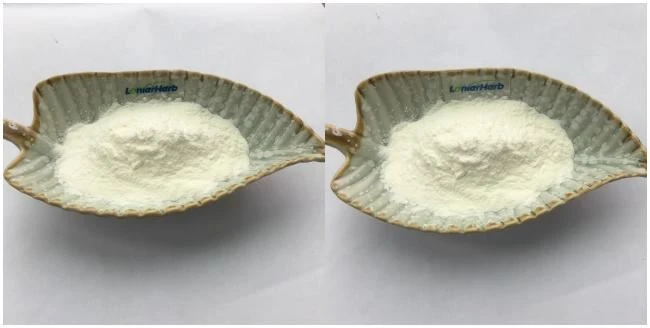 Papain, Papain Enzyme Powder