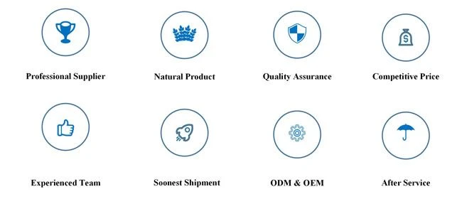 LonierHerb Manufacturer of Papain Enzyme Powder