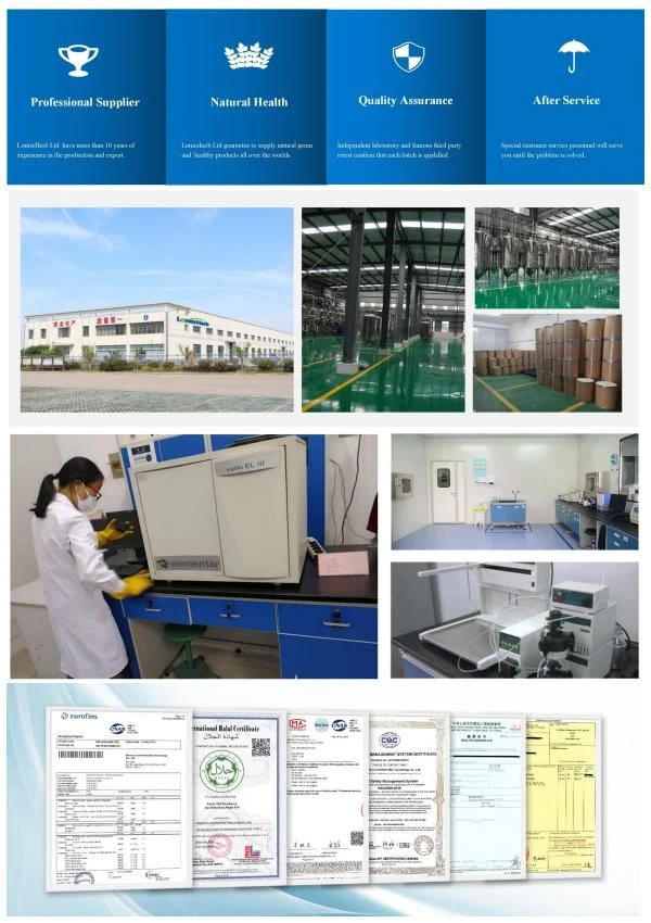 Manufacturer of Papain Enzyme,Papain
