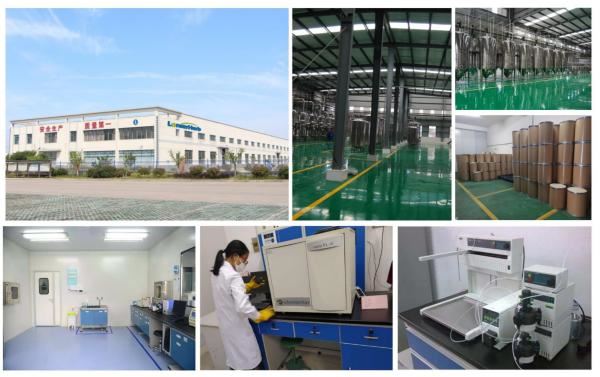 Lemon Fruit Powder Manufacturer