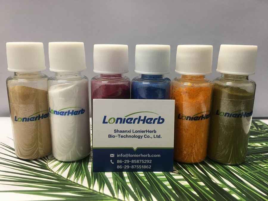 Coleus forskholii extract