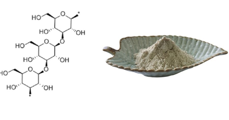 aminaria japonica extract can help Inhibit tumor growth