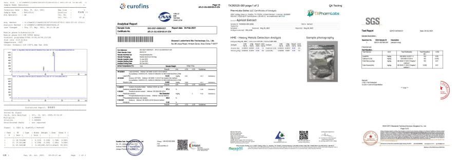 Test Report 2
