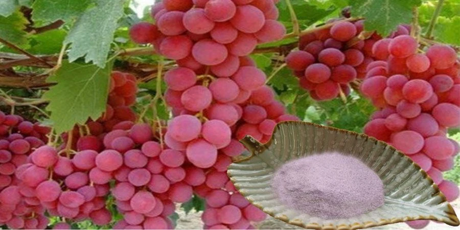 Grape Powder