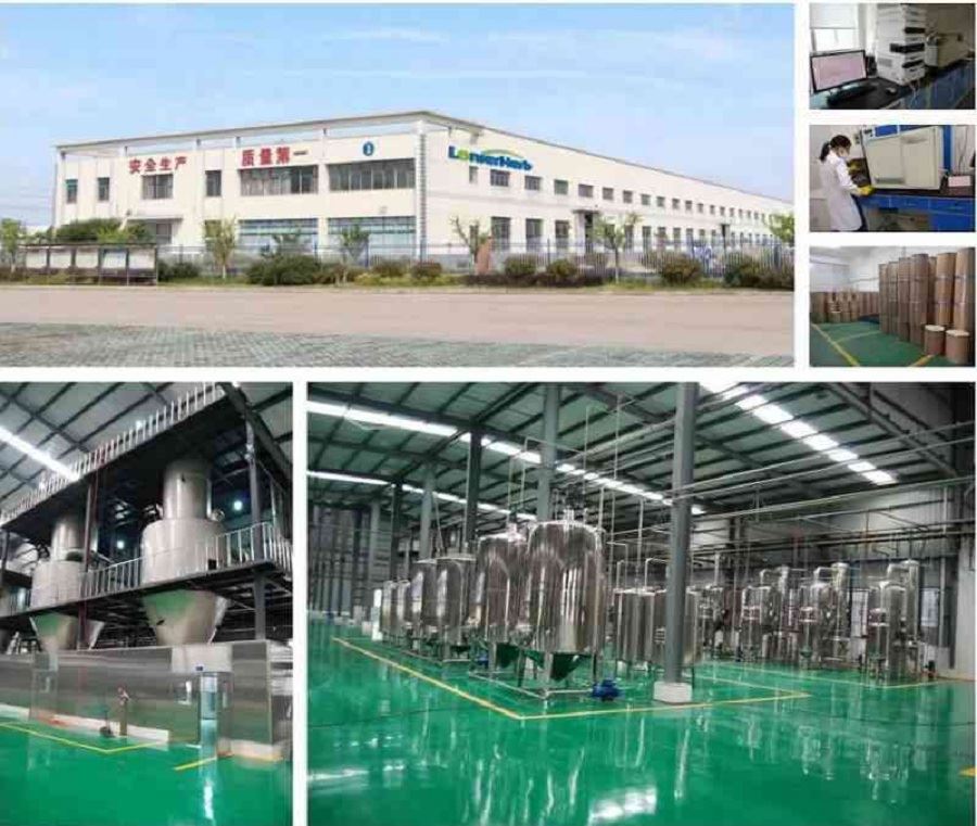 mint factory