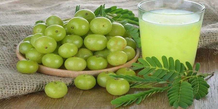 Amla Fruit Powder