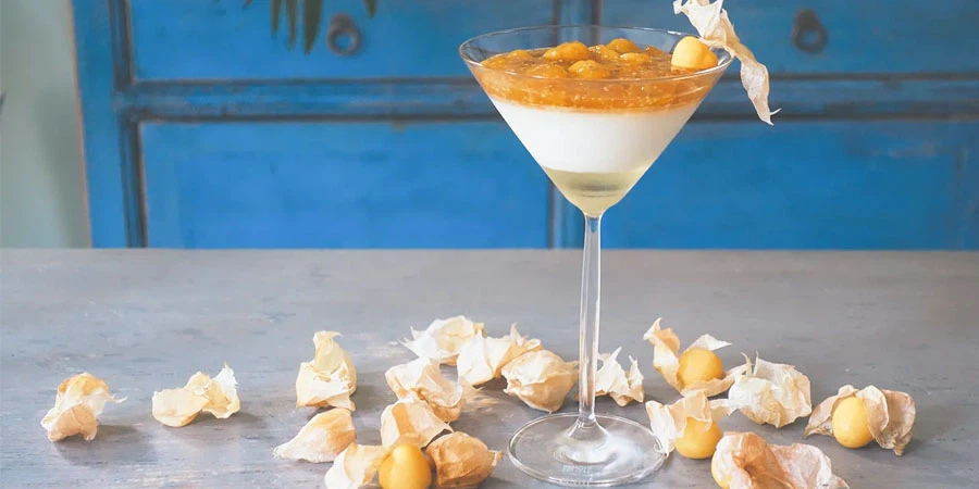 Physalis Alkekengi Powder suppliers Physalis Alkekengi Powder suppliers