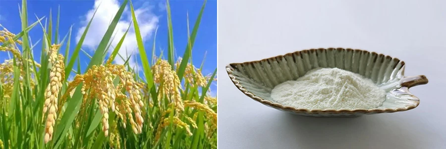 Ferulic Acid 98% manufacturers Ferulic Acid 98% manufacturers