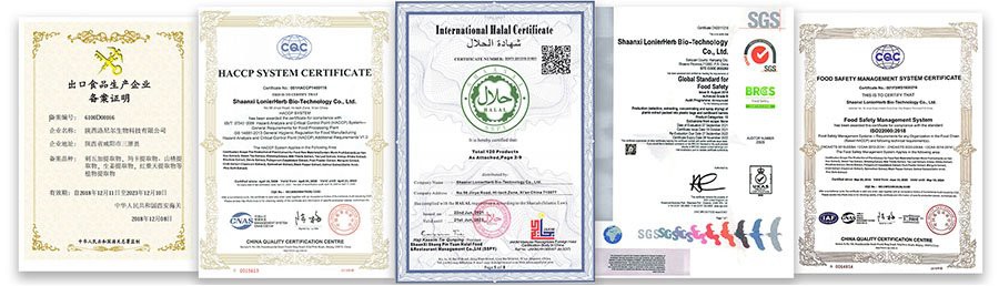 Certificate-2