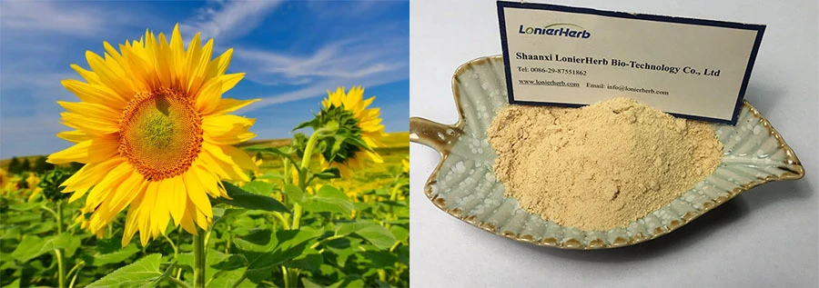 Wholesale Sunflower Phosphatidyl Serine