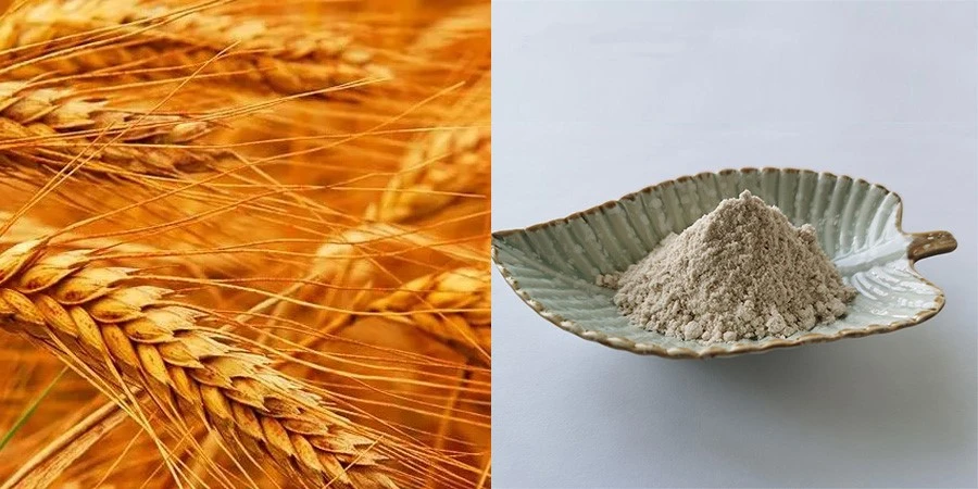 Wheat Protein Powder