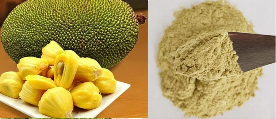 dried Jackfruit Powder