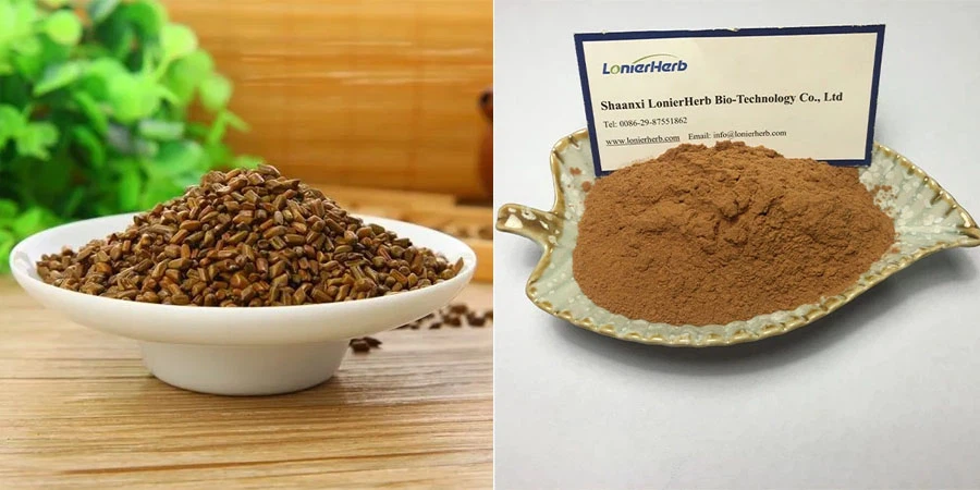 Cassia Seed Extract Powder Cassia Seed Extract Powder