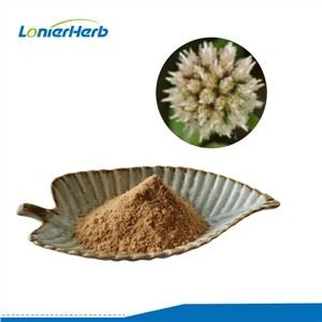 Ekstrak Sphaeranthus Indicus