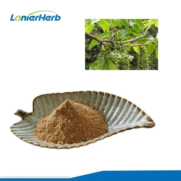 Ekstrak Cyclocarya Paliurus