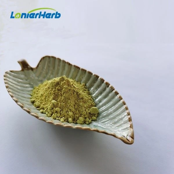 Myricetin Powder