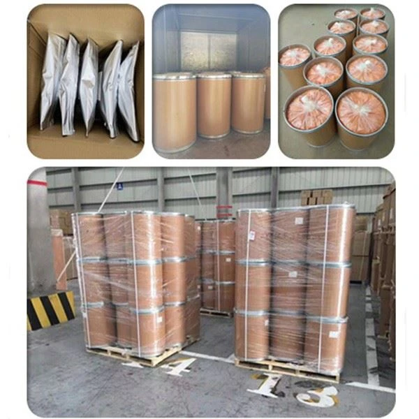 Myricetin Powder