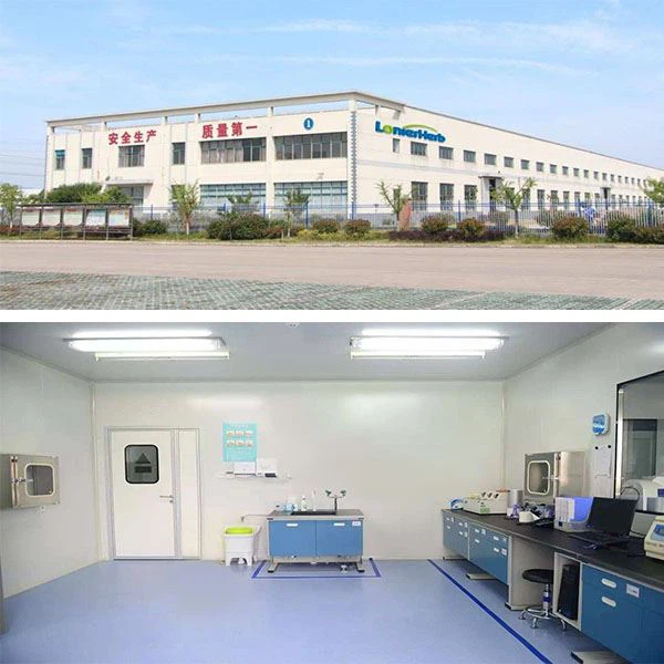 Phosphatidylserine 20% Powder