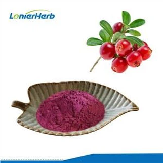 Serbuk Buah Bilberi