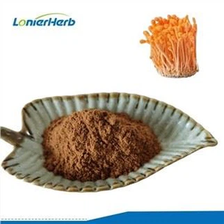 Ekstrak Cordyceps Militaris