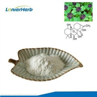 Ekstrak Rabdosia Rubescens