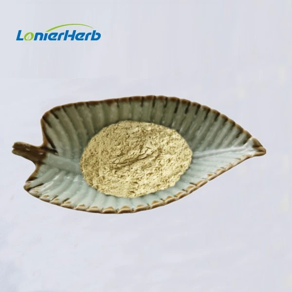 Dried Jackfruit Powder