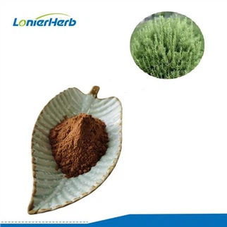 Serbuk Ekstrak Rosemary