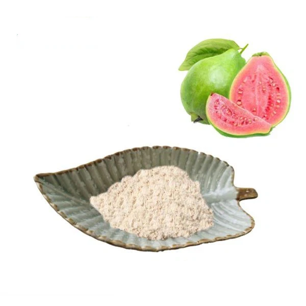 Guava Powder suppliers