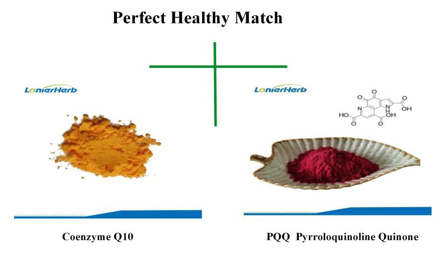 PQQ-10 CoQ10 PQQ PQQ-10 CoQ10 PQQ