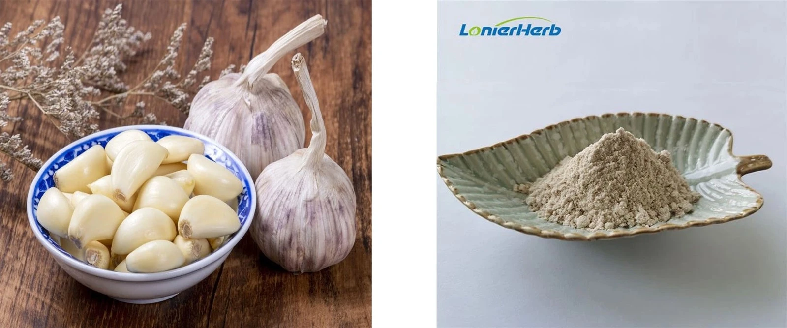 Odourless Garlic Extract