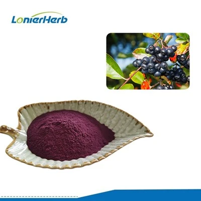 Ekstrak Chokeberry Aronia
